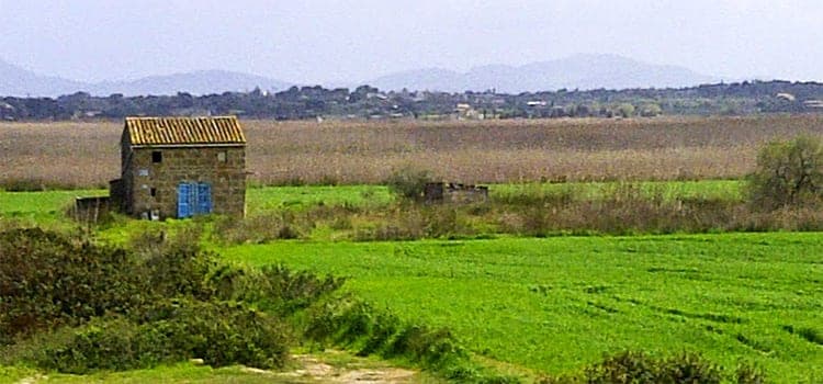 Grüne Felder mit altem Steinhaus bei Muro im Frühling