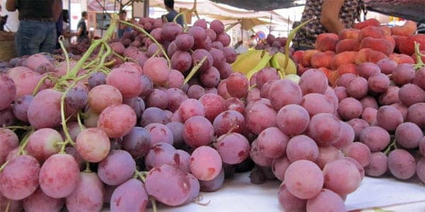 Frische Trauben am Marktstand, Weinprobe unterwegs auf der Radtour