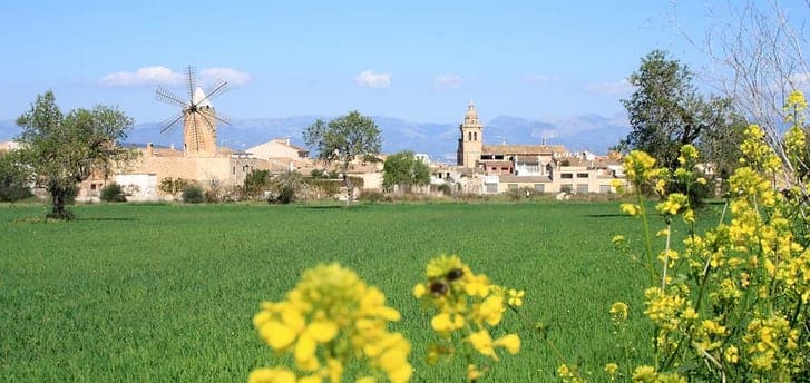 Windmühle und Felder bei Algaida im Frühling